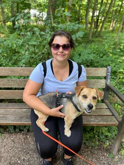Hundetreffen-🐾Spazieren & Spielen 🐶-Bild