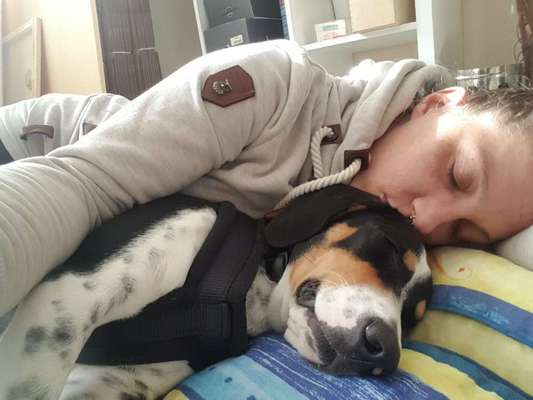 Wo habt ihr eure Hunde her ?-Beitrag-Bild