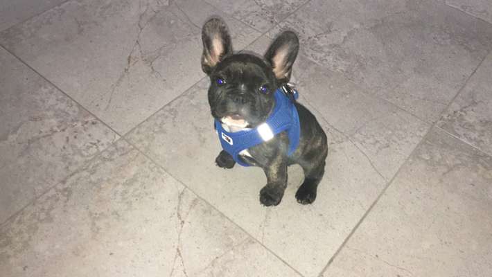 Sie werden so schnell erwachsen ...-Beitrag-Bild