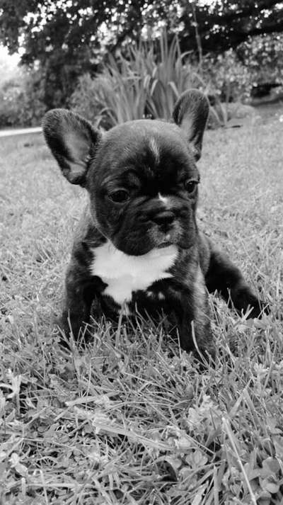 Sie werden so schnell erwachsen ...-Beitrag-Bild