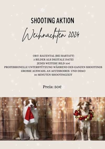 Hundetreffen-Weihnachtsshooting-Bild