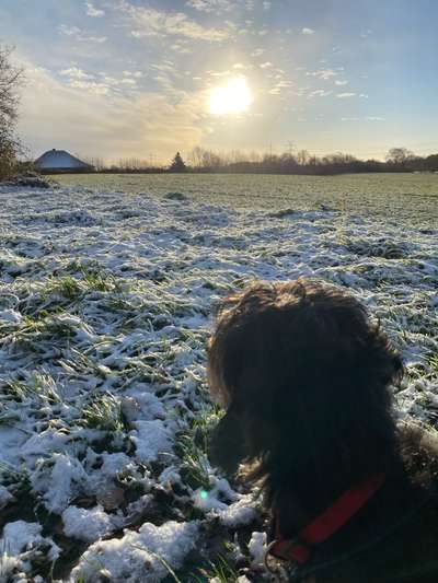 Fotochallenge Nr. 62 Romantische Momente-Beitrag-Bild