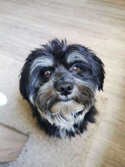 Handy-Foto Challange Nr. 10-Beitrag-Bild