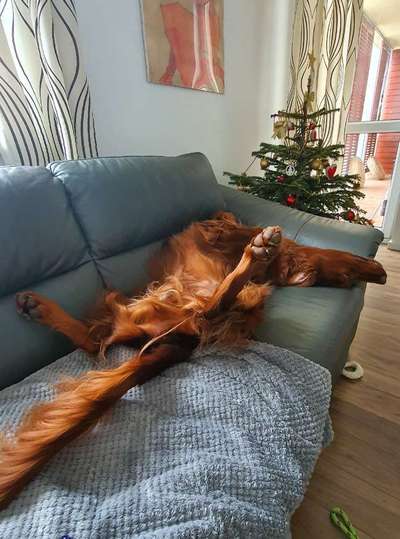 Die unbequemsten und lustigsten Schlafpositionen-Beitrag-Bild