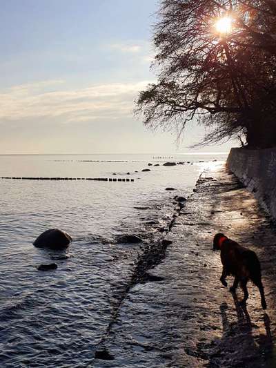 Postet eure schönsten Bilder von Spaziergängen in 2020!-Beitrag-Bild