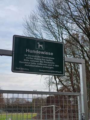Hundeauslaufgebiet-Hundewiese Straubing-Bild