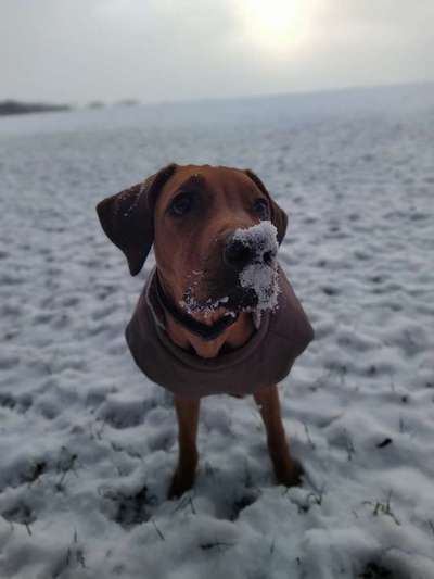 Der erste Schnee, zeigt uns eure tollen Schneemomente-Beitrag-Bild