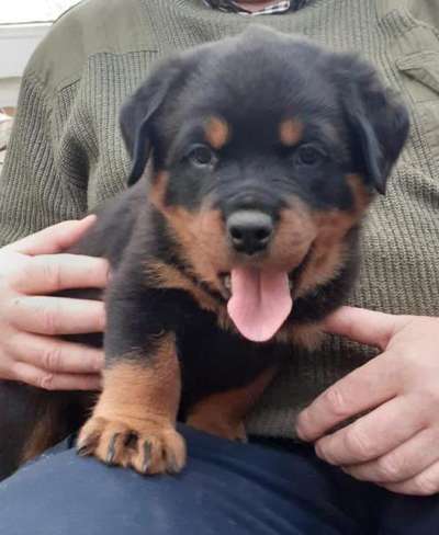 Ungewollte Streicheleinheiten etc.-Beitrag-Bild