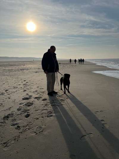 Urlaub mit Hund-Beitrag-Bild