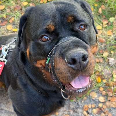 Erziehungshilfe aus Sicherheit?-Beitrag-Bild