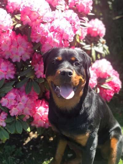 Lieblings Fotos-Beitrag-Bild