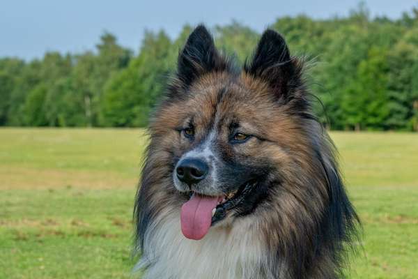 Fotochallange Nr. 57     PORTRÄT.   Beendet!!!!!!!!-Beitrag-Bild