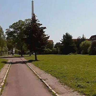 Hundeauslaufgebiet-BG Wiese (Am Bergmannstrost)-Bild