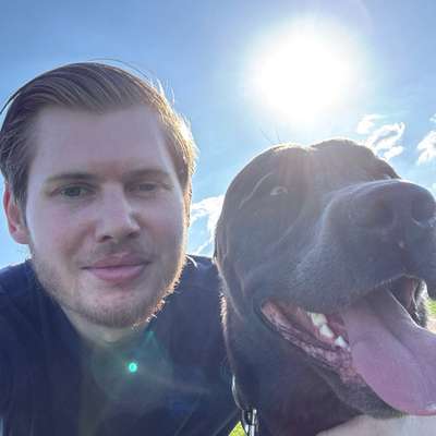 Hundetreffen-Spiel und Gassirunde-Bild