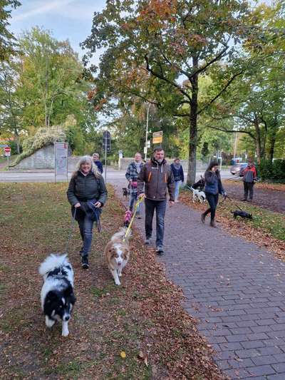 Hundetreffen-Begegnungstraining Soester Wälle-Bild