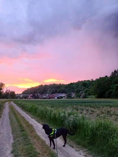 2. Farben/Fotochallenge: Dämmerungsbild, Silhouette-Beitrag-Bild