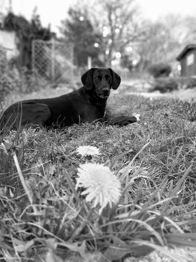 3. Farben/Fotochallenge: Schwarz/Weiß-Beitrag-Bild