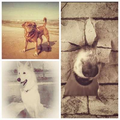 FarbenFoto - Challenge: Sepia-Beitrag-Bild