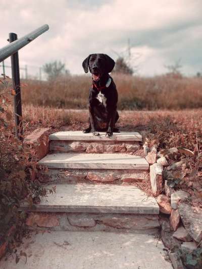 FarbenFoto - Challenge: Sepia-Beitrag-Bild