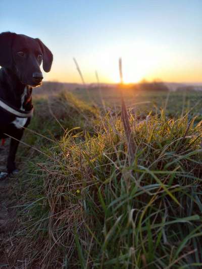 Farben Fotochallenge Sonnenlicht-Beitrag-Bild