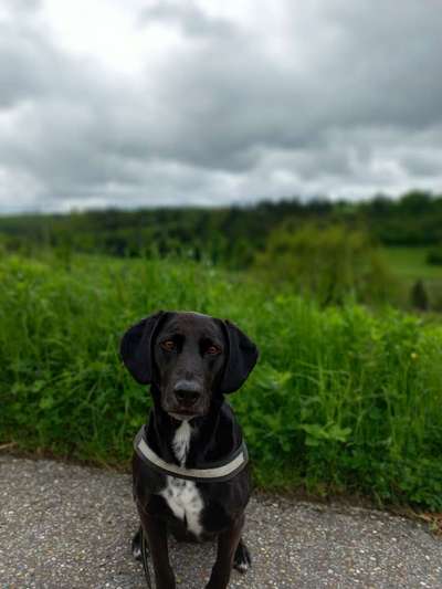 19. Farben  Fottochallenge :
Lieblingsfarbe-Beitrag-Bild