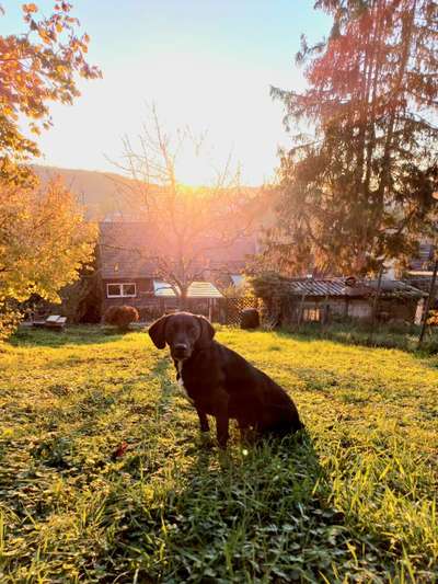 18. Farben Fotochallenge: Sonnenuntergang-Beitrag-Bild