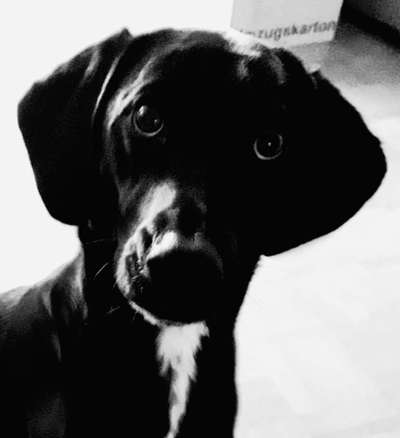 Foto-Challenge 76: Foto in Schwarz-Weiss-Beitrag-Bild