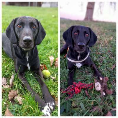 Zeige deinen Schatz mit seinem Lieblingsspielzeug.-Beitrag-Bild