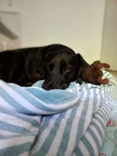 32. Farben Challenge  ** ( BUNTE ) STREIFEN **-Beitrag-Bild