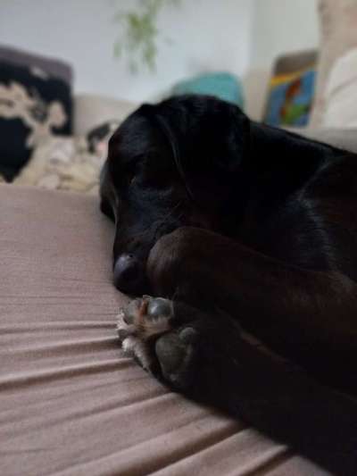 13. Farben-Fotochallenge "Grau"-Beitrag-Bild