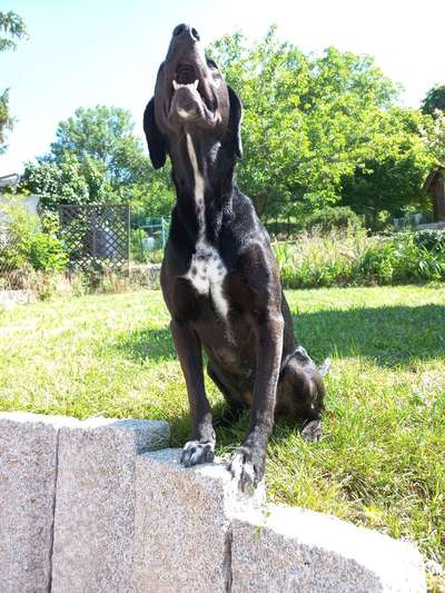 FOTOCHALLENGE 86-Beitrag-Bild