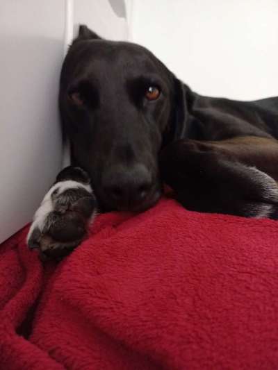 11. Farben Foto Challenge Rot-Beitrag-Bild