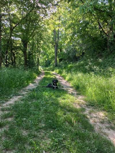 Theos  Fotochallenge Nummer 2-Beitrag-Bild