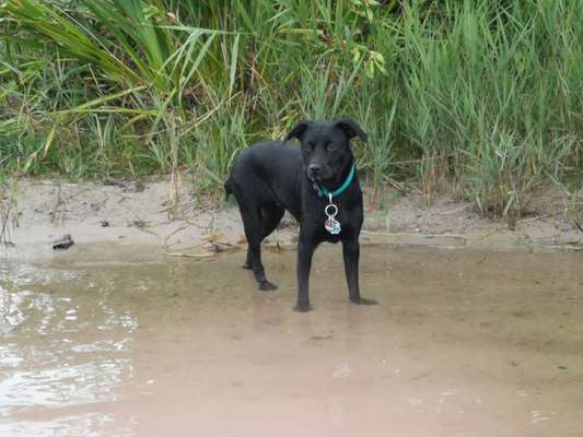 Foto Challenge - BEENDET - bitte aktuelle Challenge nutzen-Beitrag-Bild