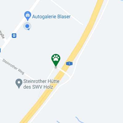 Hundetreffen-Welpen/Junghundetreffen Holz-Bild