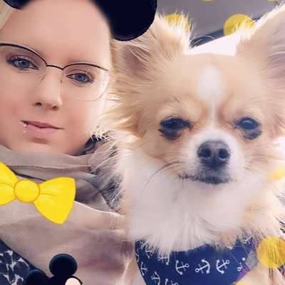 Hundetreffen-Gassi gehn und spielen