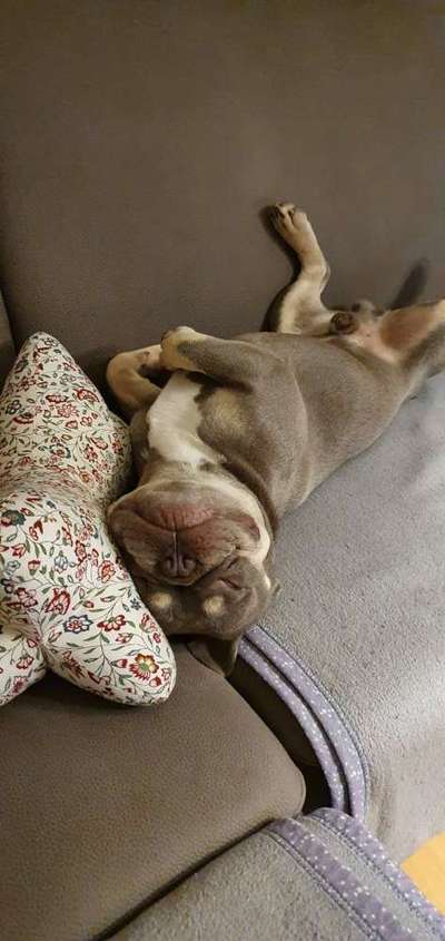 Die unbequemsten und lustigsten Schlafpositionen-Beitrag-Bild