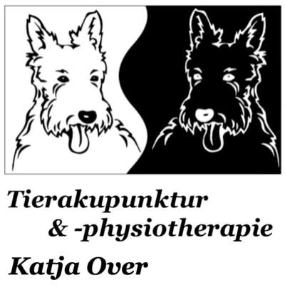 Medizinische Dienstleistungen-Tierakupunktur & -physiotherapie Katja Over-Bild