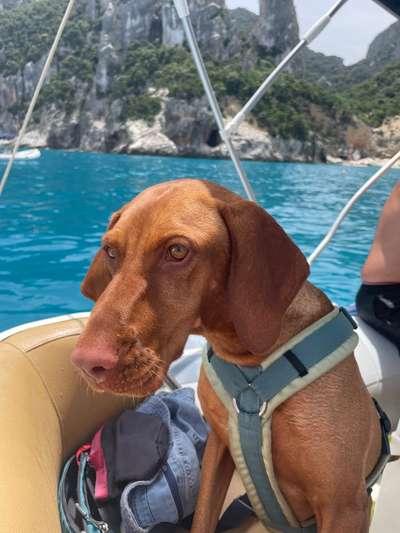 141. FOTO CHALLENGE 
Reisende soll man nicht aufhalten-Beitrag-Bild