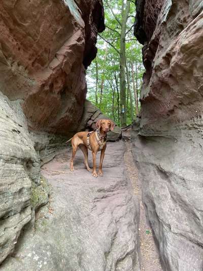 Ist das ein...?-Beitrag-Bild