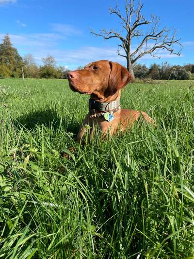 Zeigt eure Portraits-Beitrag-Bild