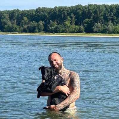 Hundetreffen-Gassi Treffen-Bild