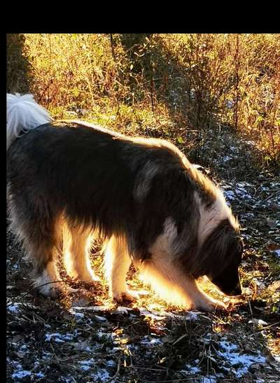 42.Fotochallenge - Eure schönen Momente beim Spaziergang-Beitrag-Bild