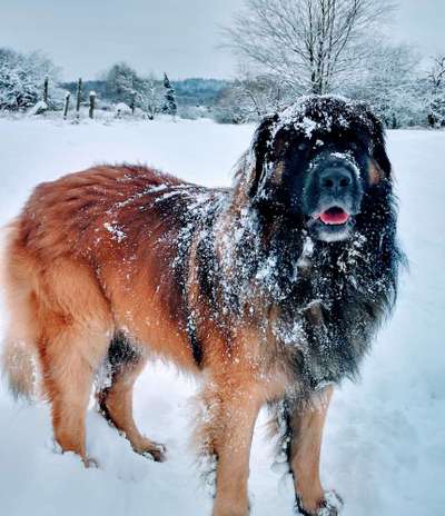 42.Fotochallenge - Eure schönen Momente beim Spaziergang-Beitrag-Bild