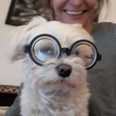 Dogorama Photo Challenge - Tre Chic!-Beitrag-Bild