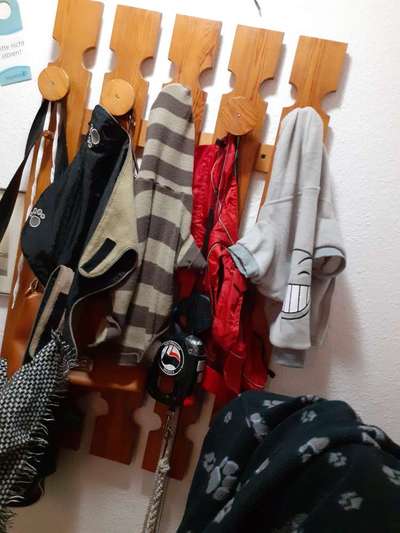 Hundegarderobe-Beitrag-Bild