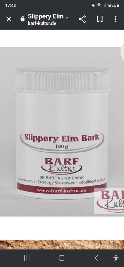 Lagotto Romagnolo Besitzer-Beitrag-Bild