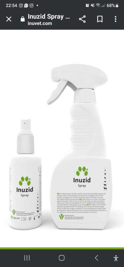 Lagotto Romagnolo Besitzer-Beitrag-Bild