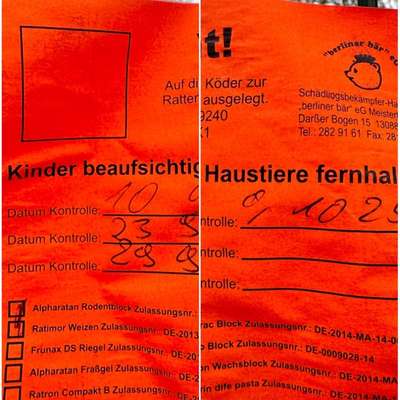 Giftköder-Schädlingsbekämpfung-Bild