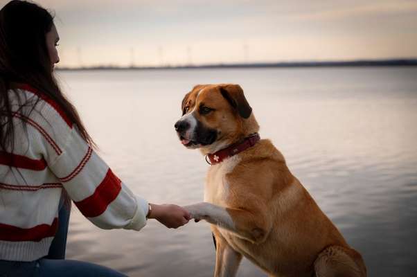 Dogorama-Monats-Challenge-Mai "Wasser"-Beitrag-Bild